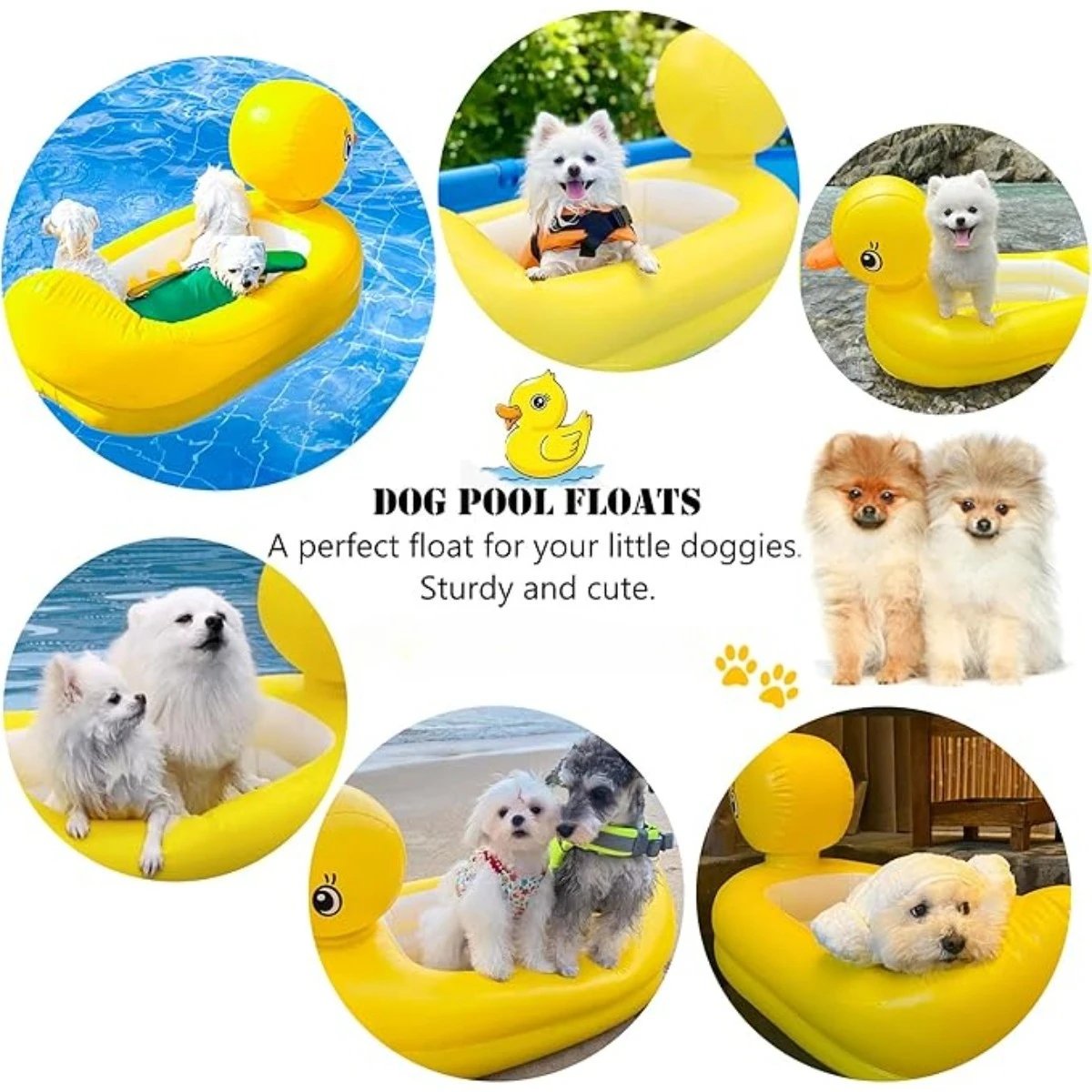 Bouée gonflable 2‑en‑1 pour chien – Canard jaune, PVC pliable, jusqu’à 10 kg, jouet interactif piscine & été Port. gratuit 3 Bouée gonflable 2‑en‑1 pour chien – Canard jaune, PVC pliable, jusqu’à 10 kg, jouet interactif piscine & été Port. gratuit – Image 3