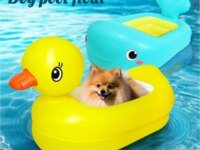 Bouée gonflable 2‑en‑1 pour chien en PVC pliable, forme canard jaune. Idéale piscine, été et jeux aquatiques. Pour animaux jusqu’à 10 kg.