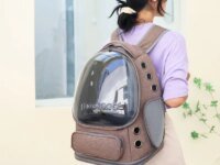 Sac à dos de transport pliable et transparent pour chats et petits chiens. Respirant, léger, sécurisé et idéal pour voyages, sorties et déplacements nomades